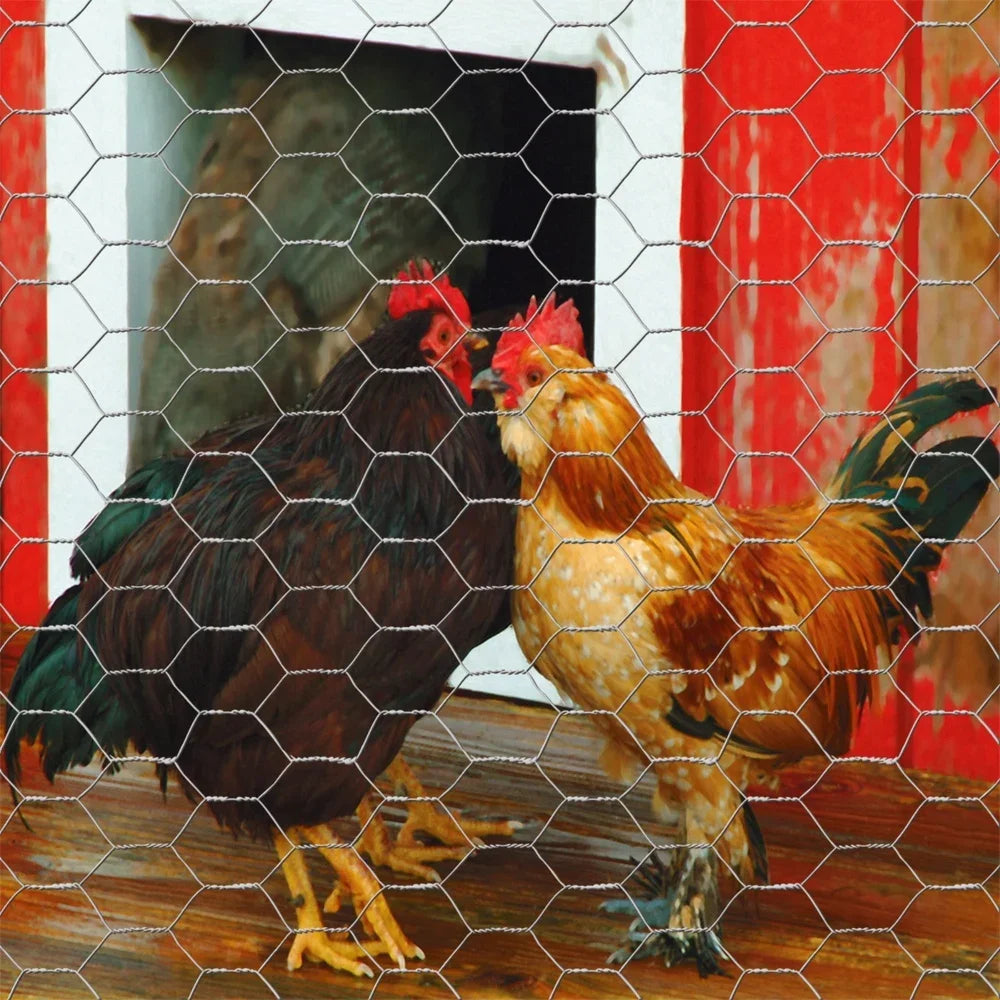 Galvanized Steel Chicken Wire Roll 24in x 50ft Lightweight Durable Hexagonal Mesh Animal Containment Garden Fencing Plant