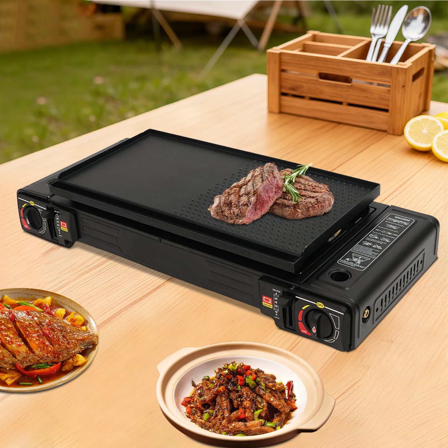 Portable 2-Burner Camping Stove With Baking Pan Case