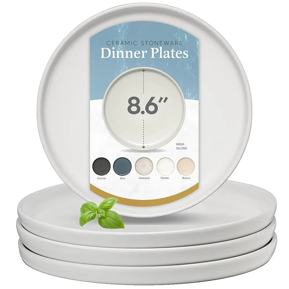 Bonjean Mesa Ceramic Stoneware Dinner Plates Set of 4