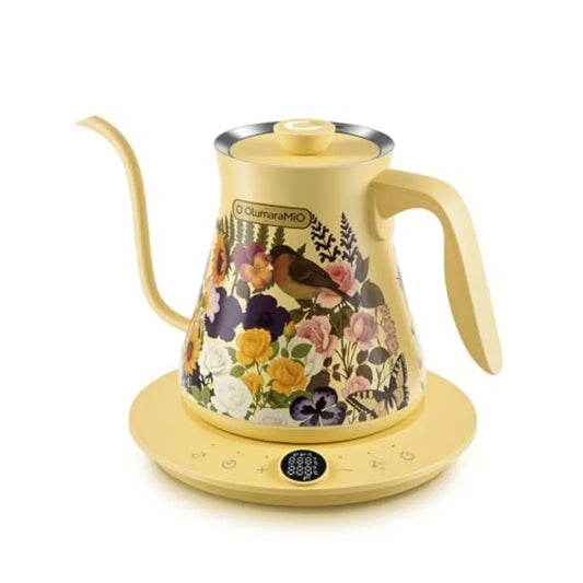 Iosn 0.8L Gooseneck Electric Kettle With 1200W Precise Temperature Control