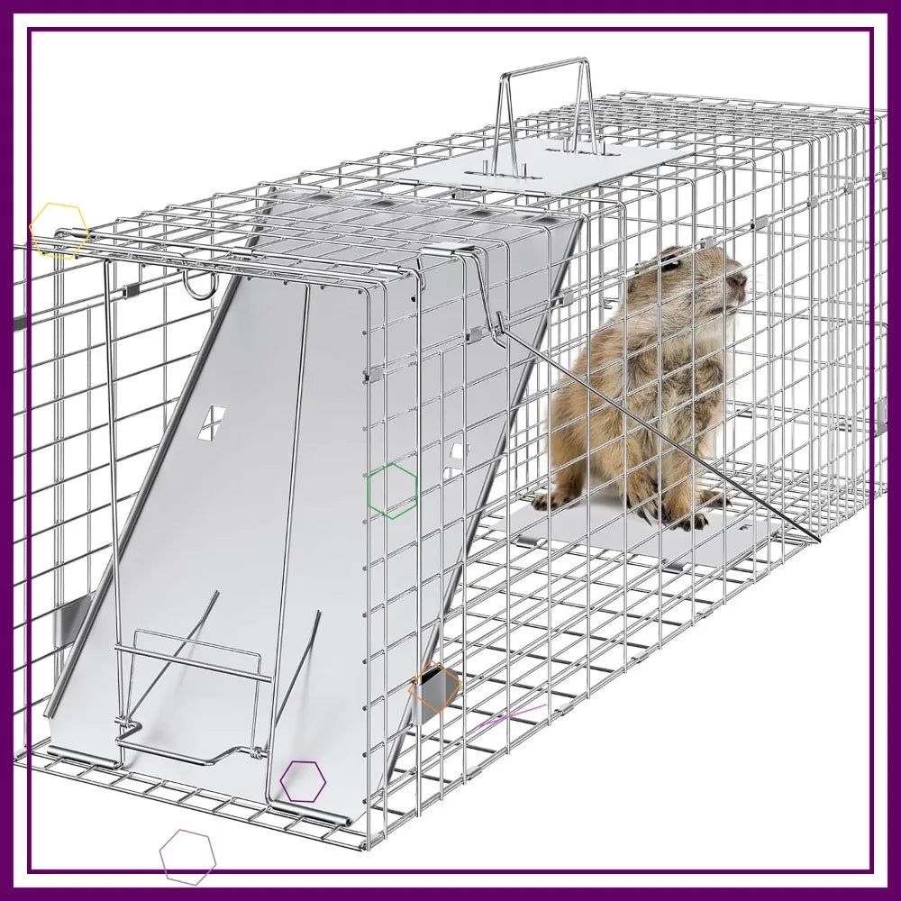 31x10x12 Inch Humane Live Animal Cage Trap for Cats Rabbits Squirrels Raccoons Groundhogs Opossums - Folding with Handle