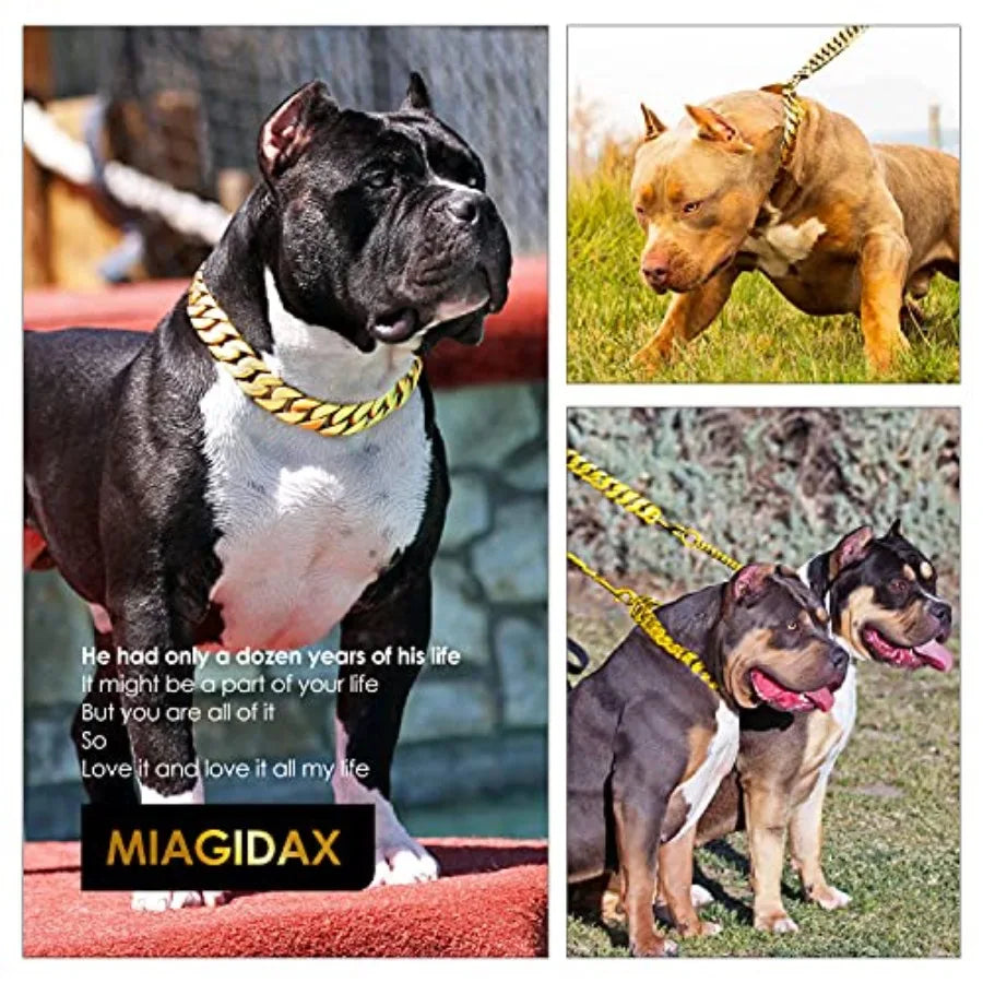 Cuban Link Dog Collar Durable Metal Buckle Premium