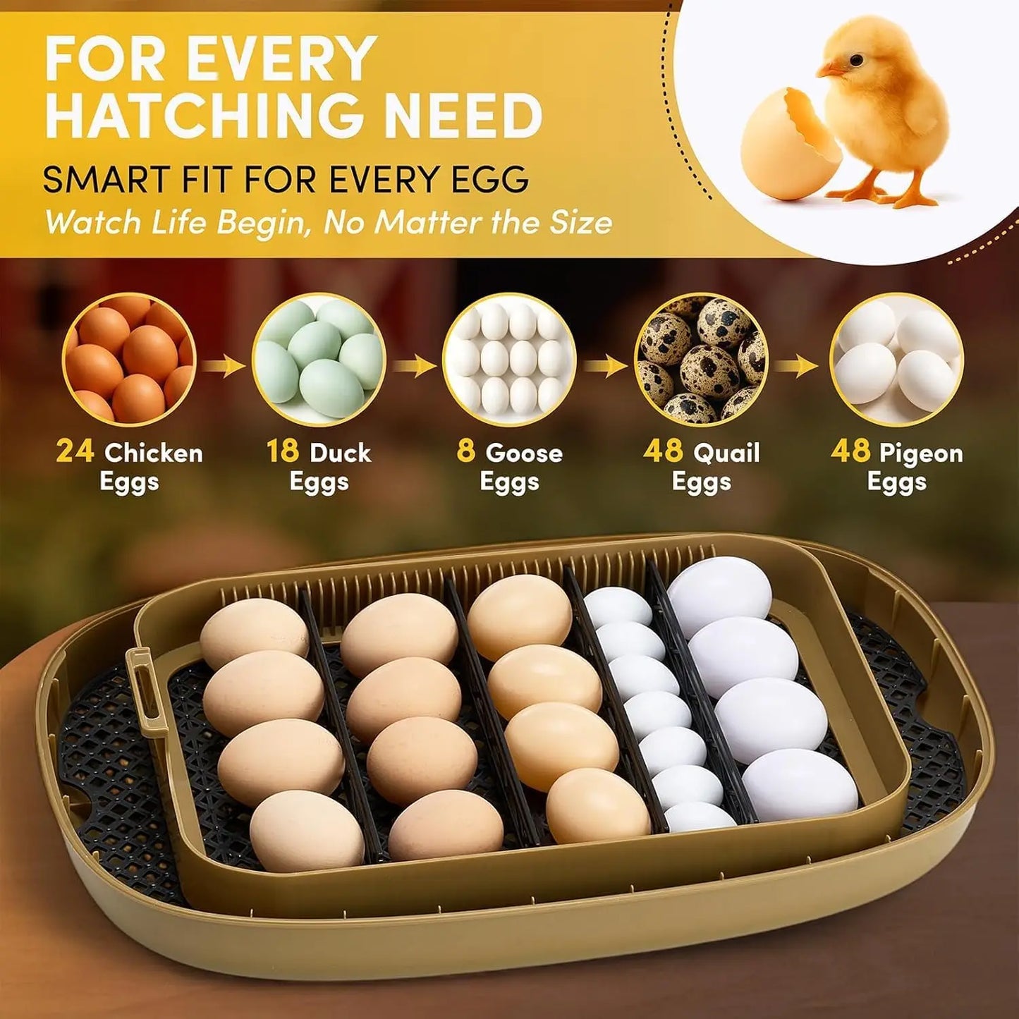 For Farm, Home & School, 24 Egg Incubator with Automatic Turner & Candler, Smart Temperature & Humidity Control, 360° View