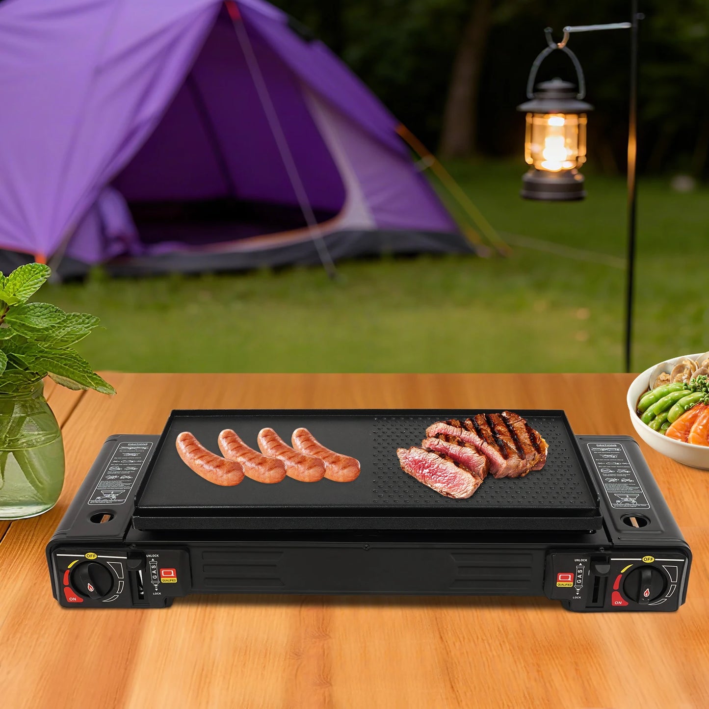 Portable 2-Burner Camping Stove With Baking Pan Case